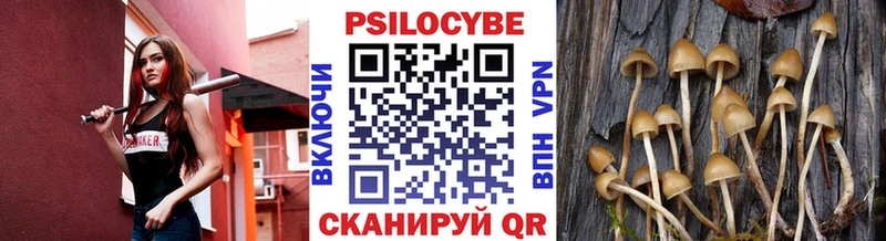 Купить закладки  Жиздра  Псилоцибиновые грибы мицелий 